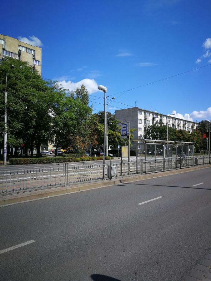 Lemon Tree Breslau